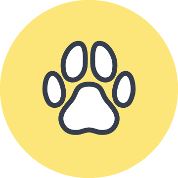 Pet insurance icon